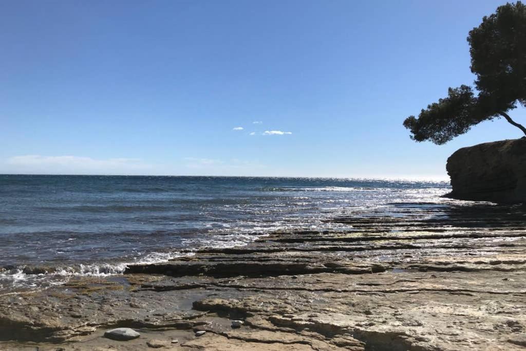 Les Terrasses Du Liouquet T2, Piscine , Parking , Mer A 150 M La Ciotat Kültér fotó